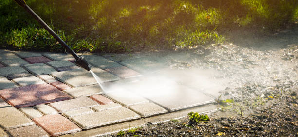 Best Animal Enclosure Cleaning  in Sharon, PA
